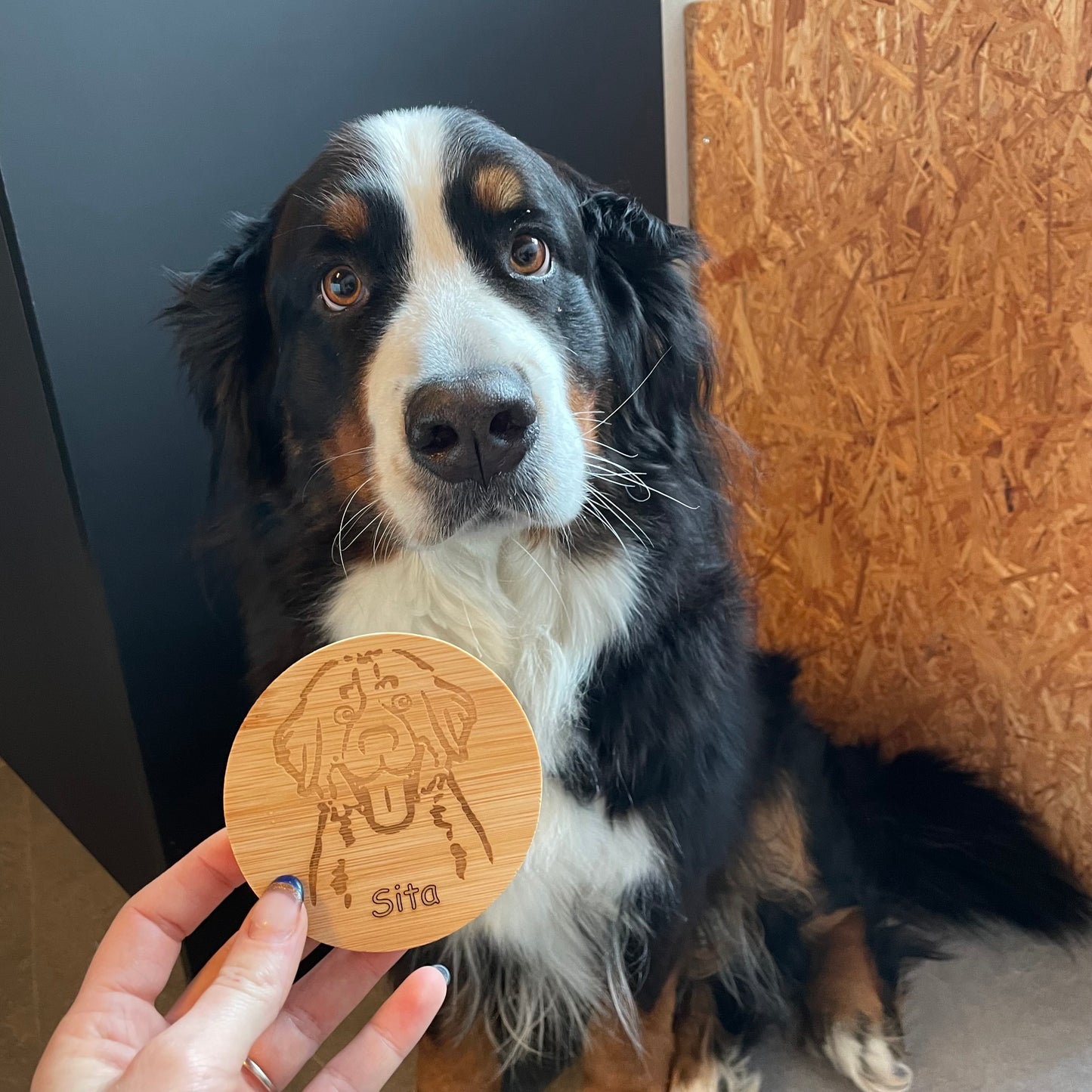 pot voor koekjes hond