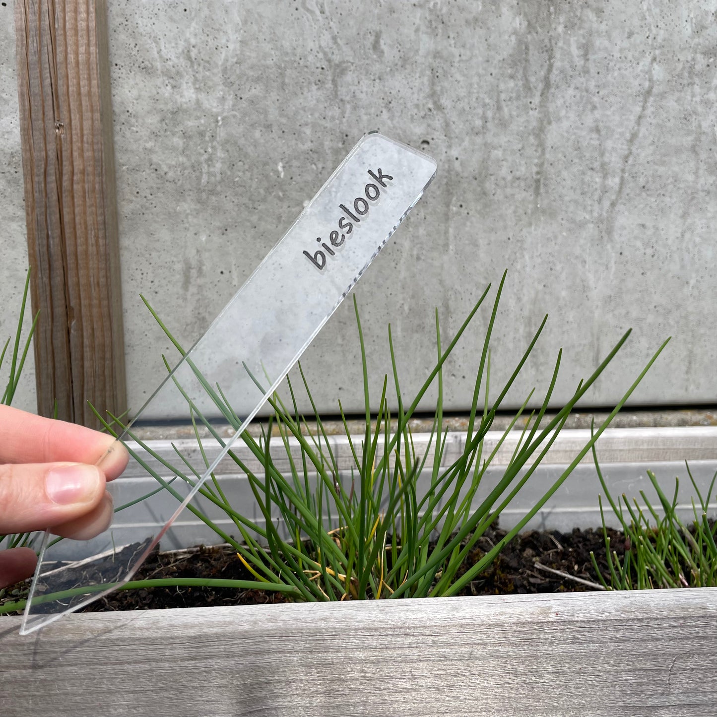 Planten label acryl