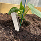planten labels
