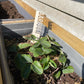 planten labels