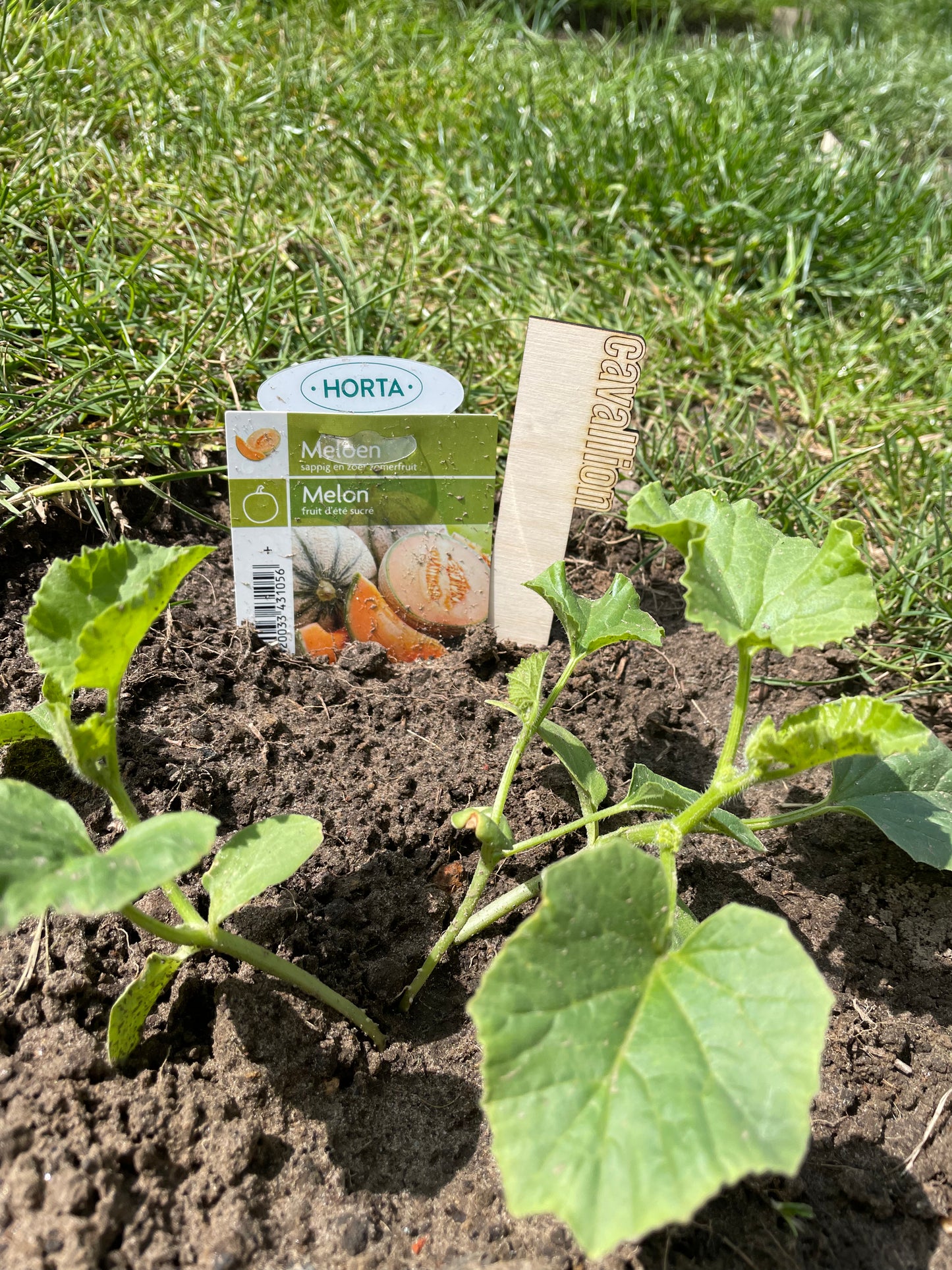 planten labels